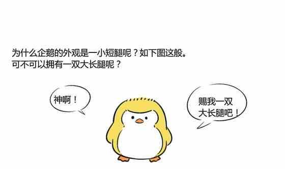 《企鹅北游记》29 第1页