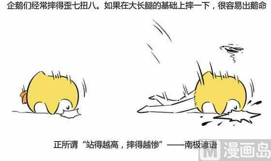 《企鹅北游记》29 第6页