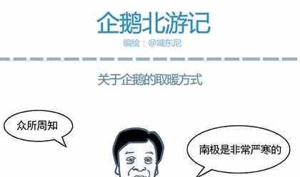 《企鹅北游记》33 第1页