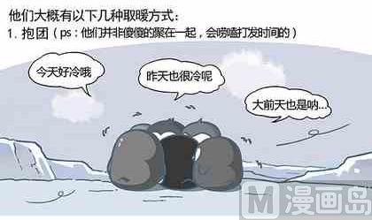 《企鹅北游记》33 第3页