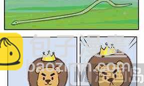 《企鹅北游记》43 第12页