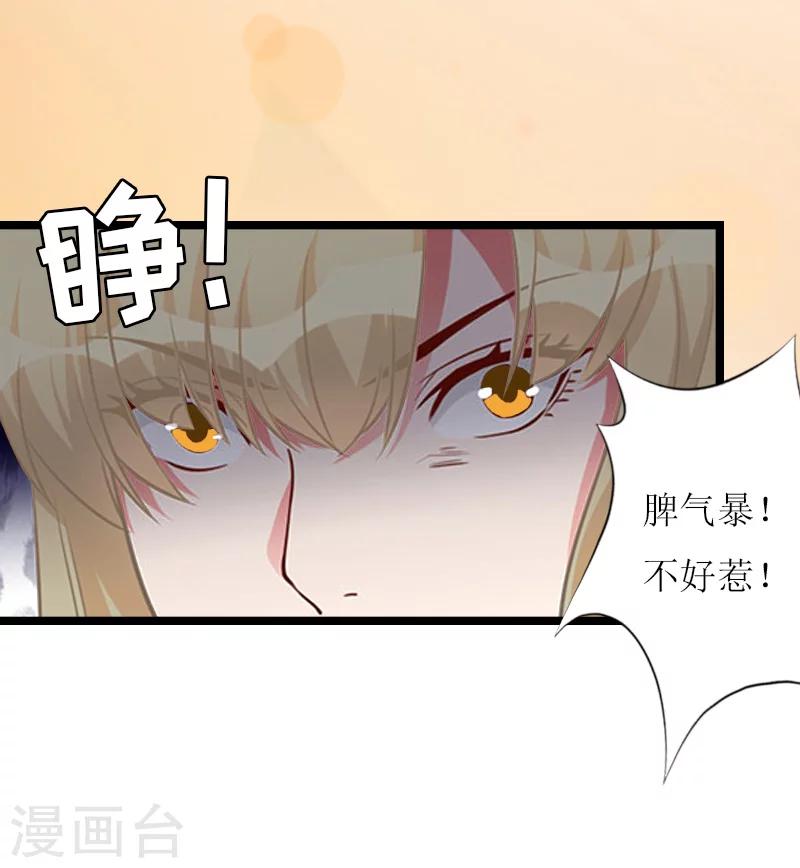 《温柔总裁的小悍妻》第12话 开始 第38页