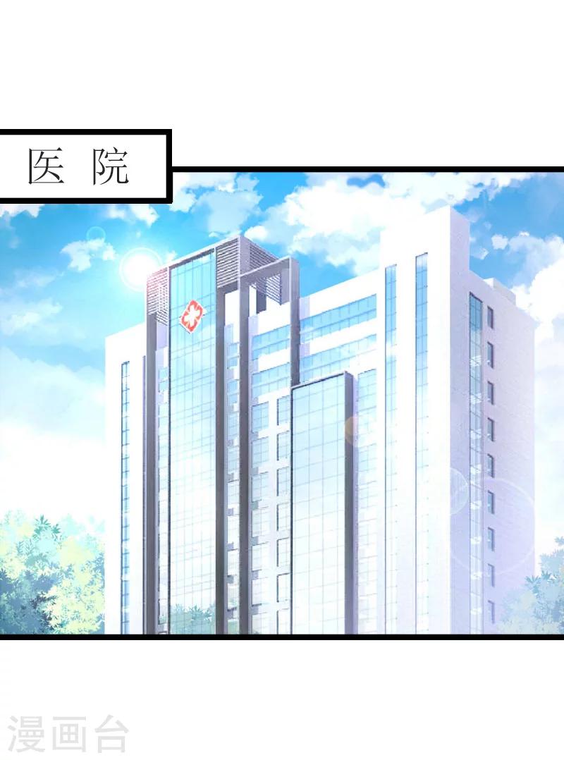 《温柔总裁的小悍妻》第29话 悼念 第2页