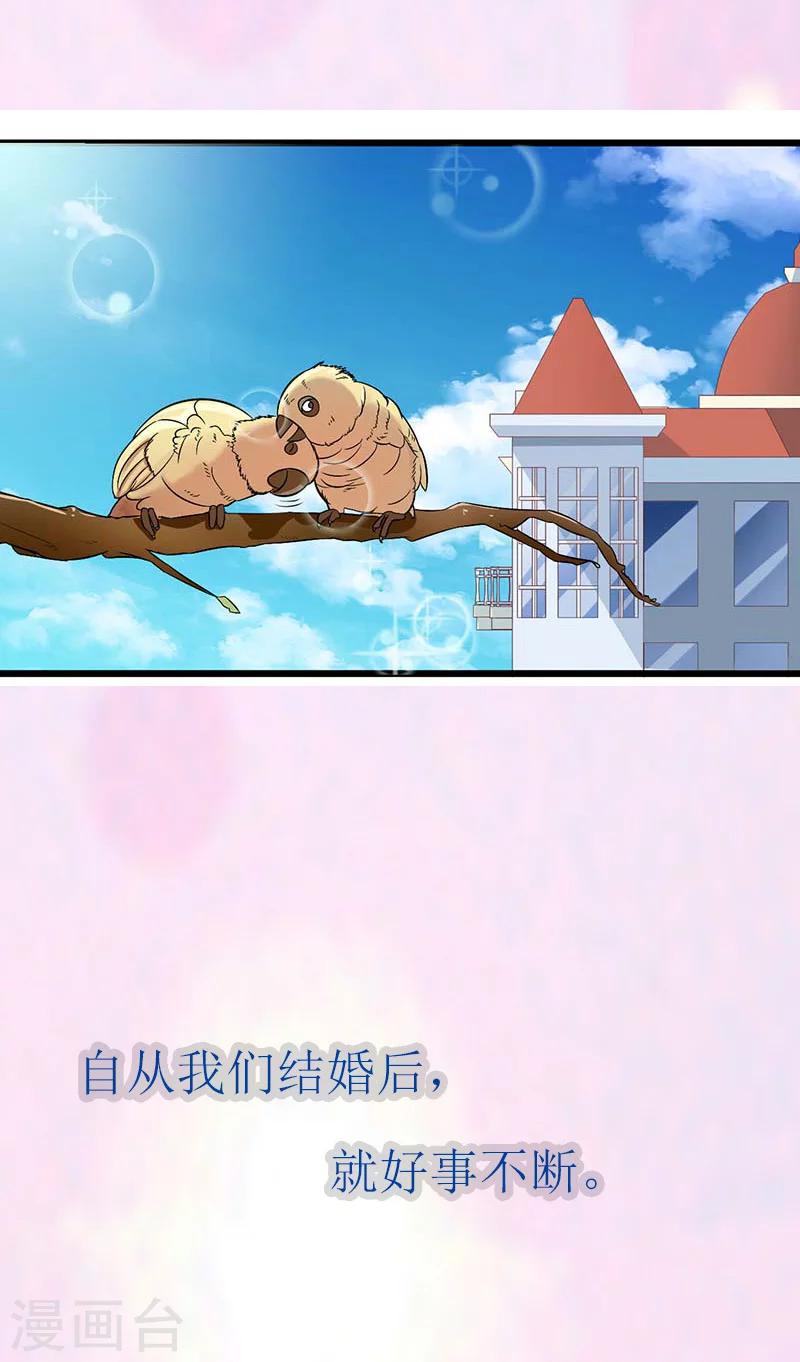 《温柔总裁的小悍妻》最终话 结局 第17页