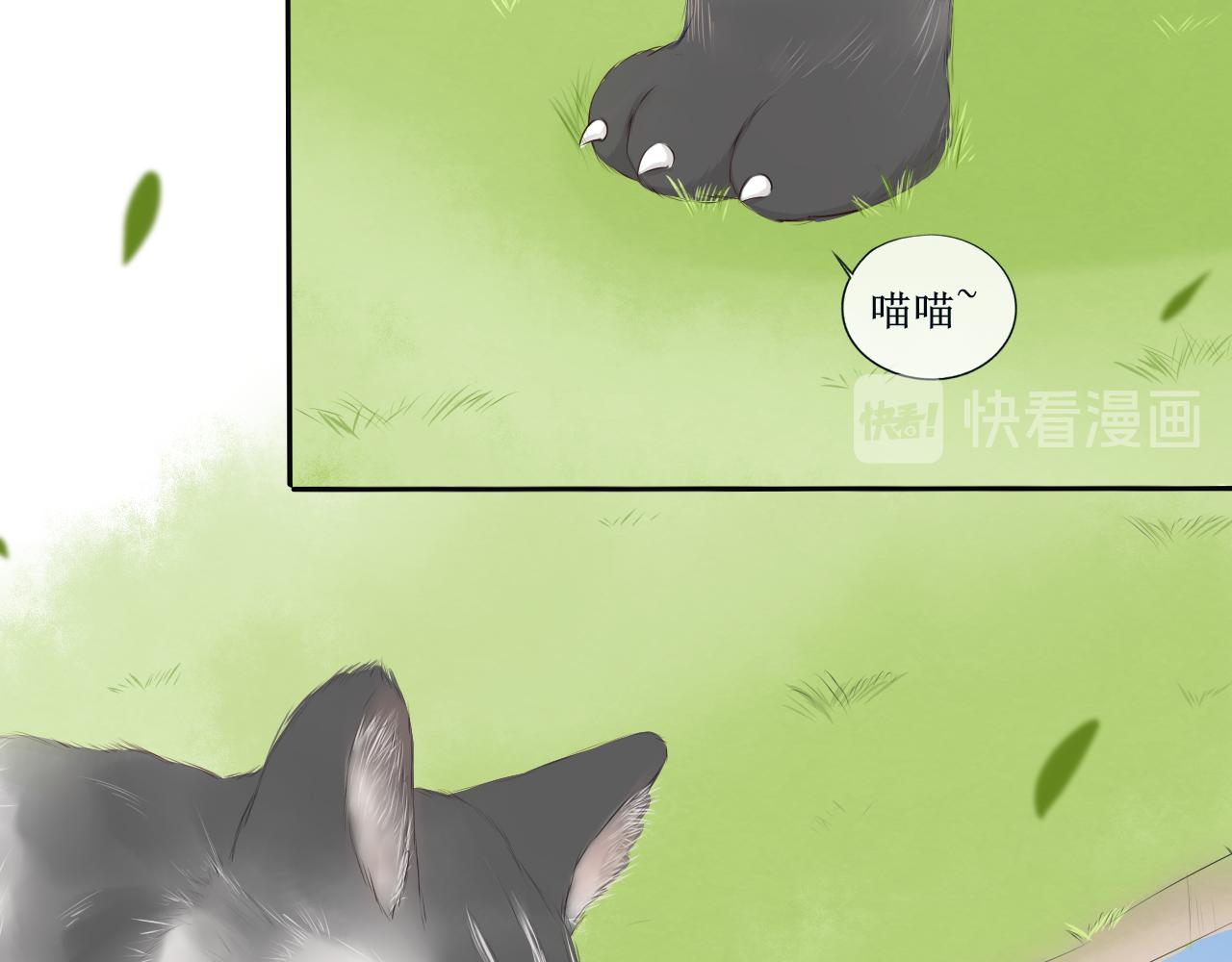 《梦想新世界》第一章不平凡的旅途 第46页