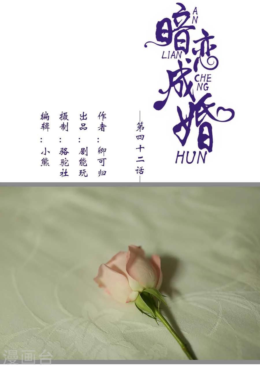 《暗恋成婚》最终话 第1页