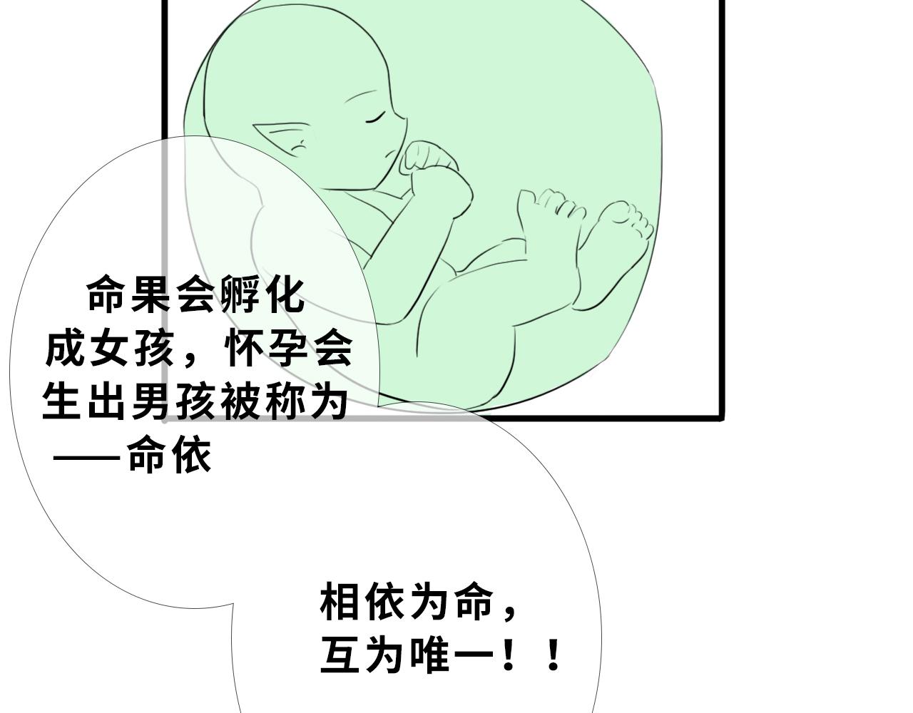 《快穿之拯救轶事》第一章 命果世界——孵化 第11页
