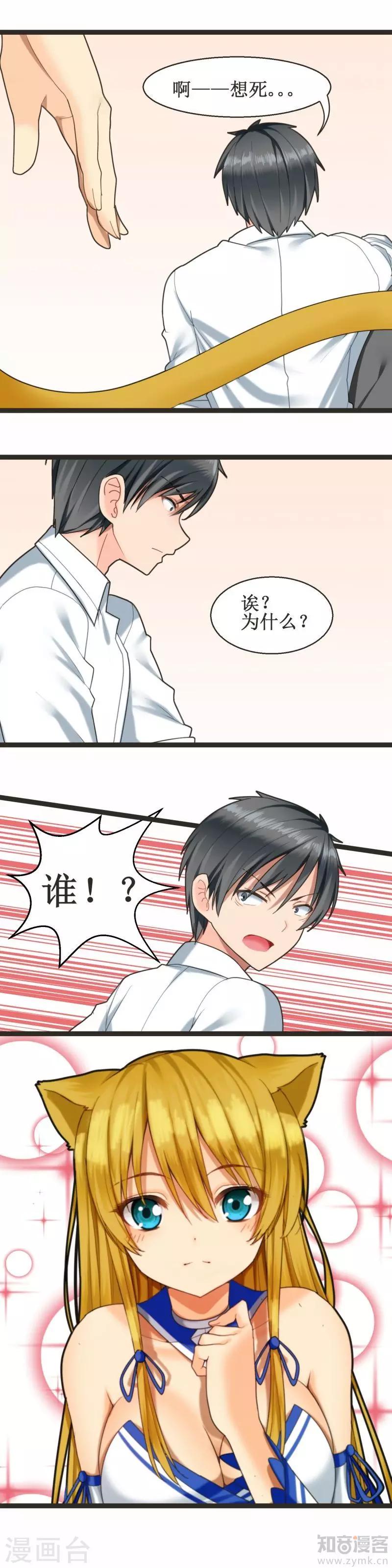 《猫咪坠入恋爱》第1话 第10页