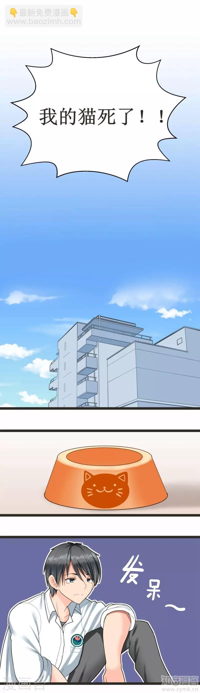 《猫咪坠入恋爱》第1话 第9页