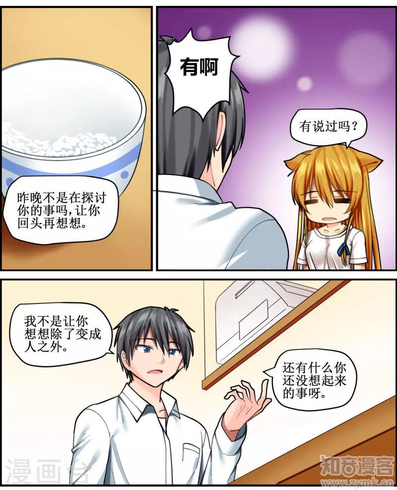 《猫咪坠入恋爱》第4话 第12页
