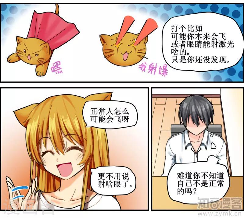 《猫咪坠入恋爱》第4话 第13页