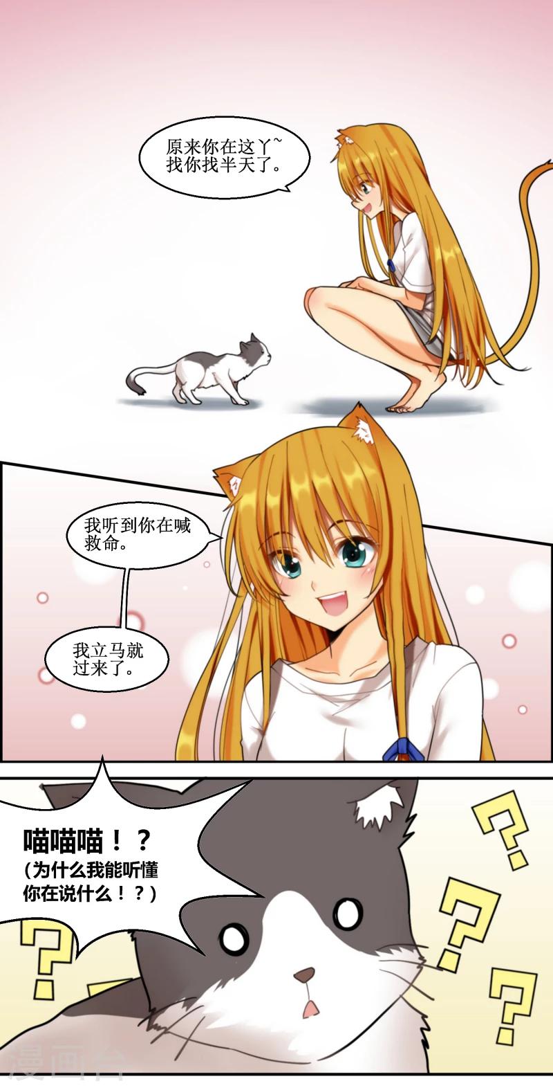《猫咪坠入恋爱》第7话 第4页