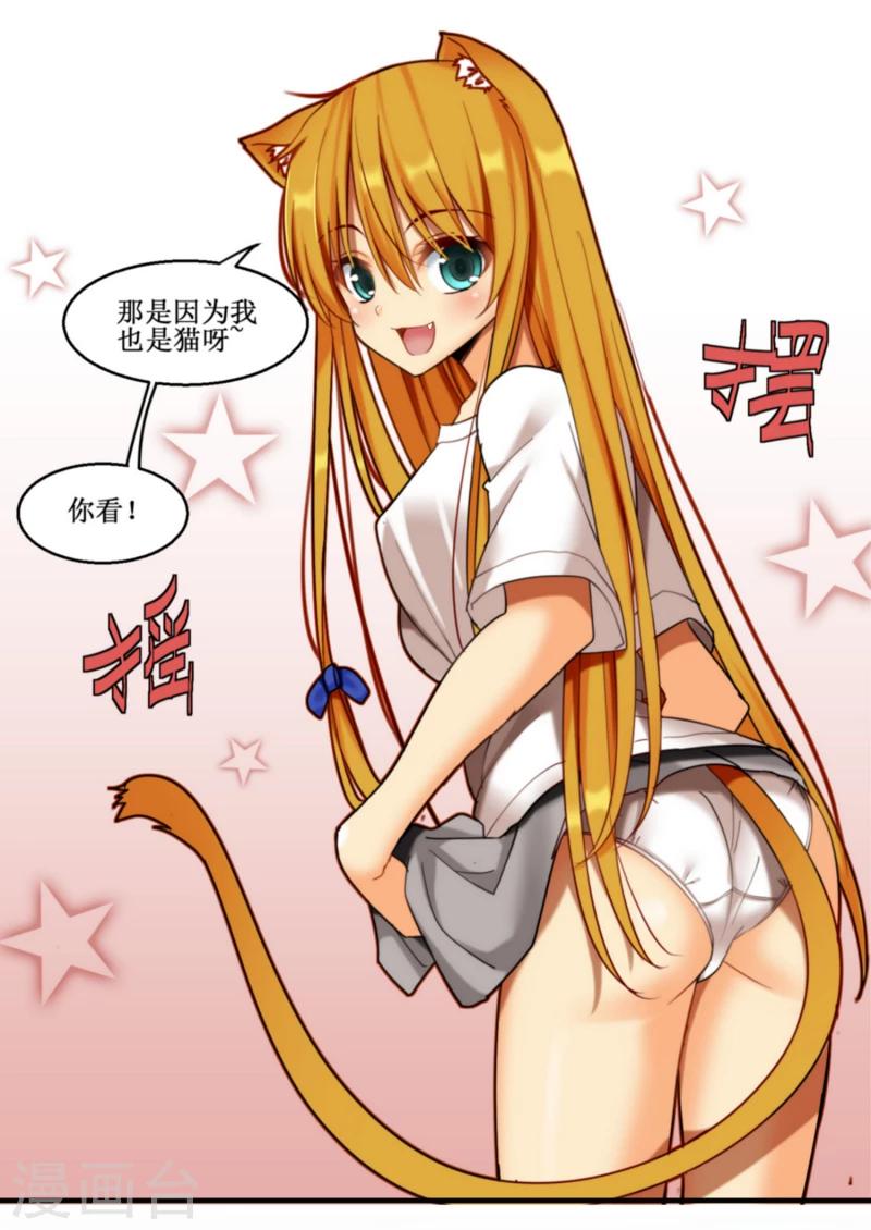 《猫咪坠入恋爱》第7话 第5页