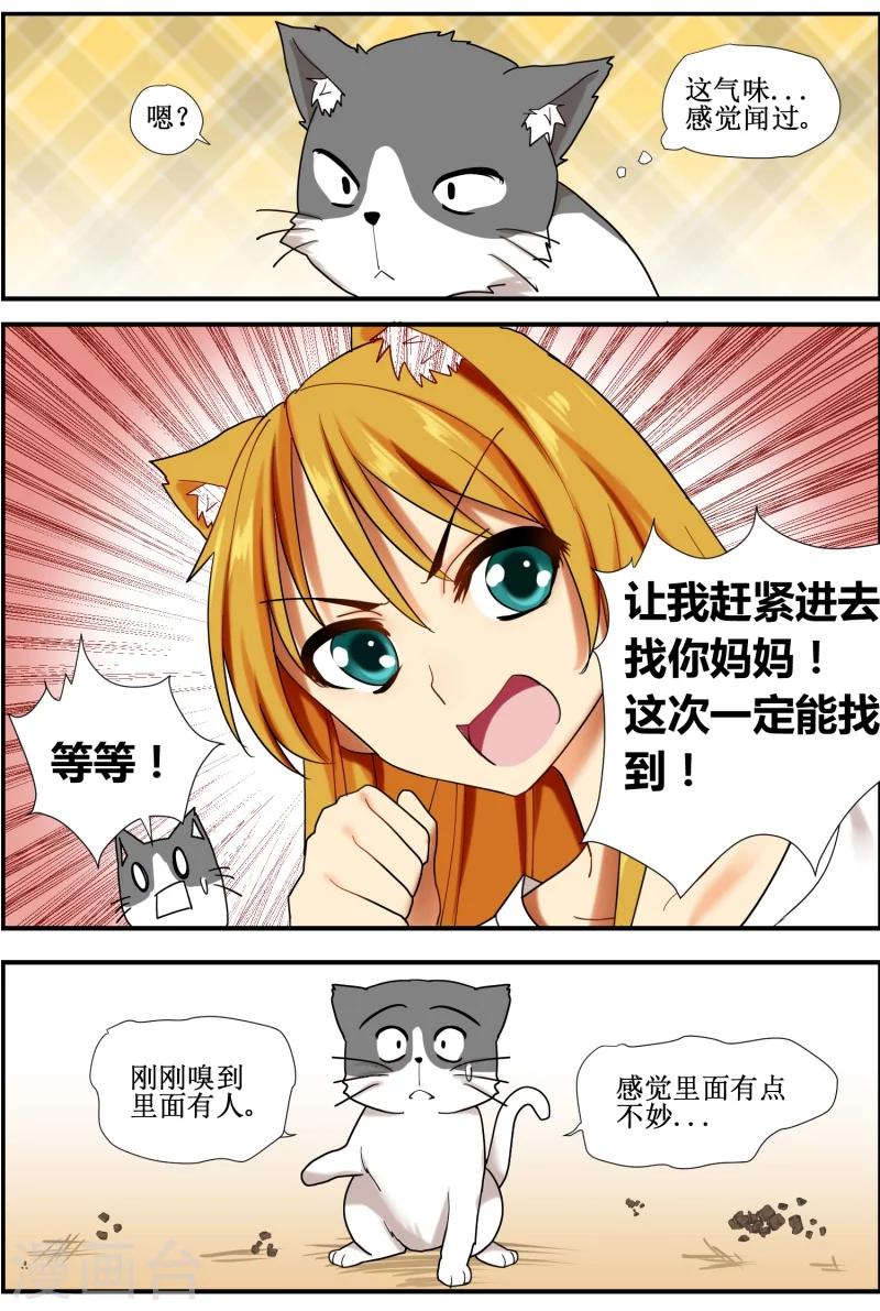 《猫咪坠入恋爱》第10话 第10页
