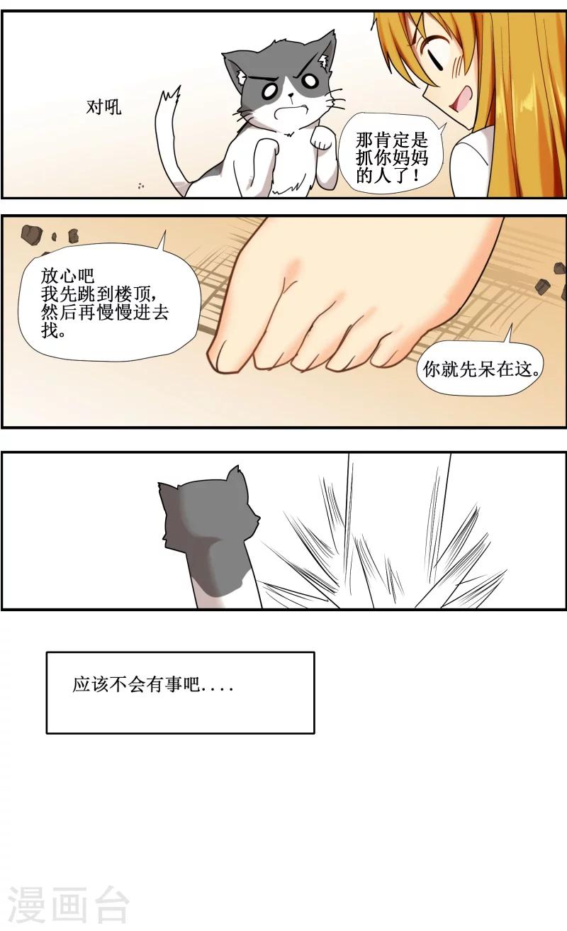 《猫咪坠入恋爱》第10话 第11页