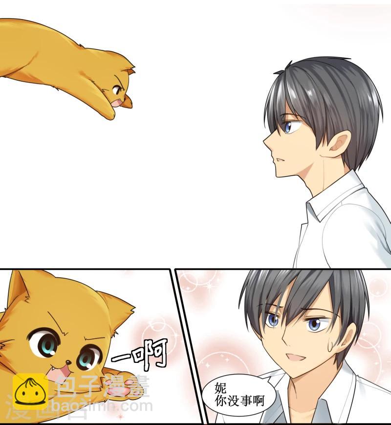 《猫咪坠入恋爱》第15话 第8页