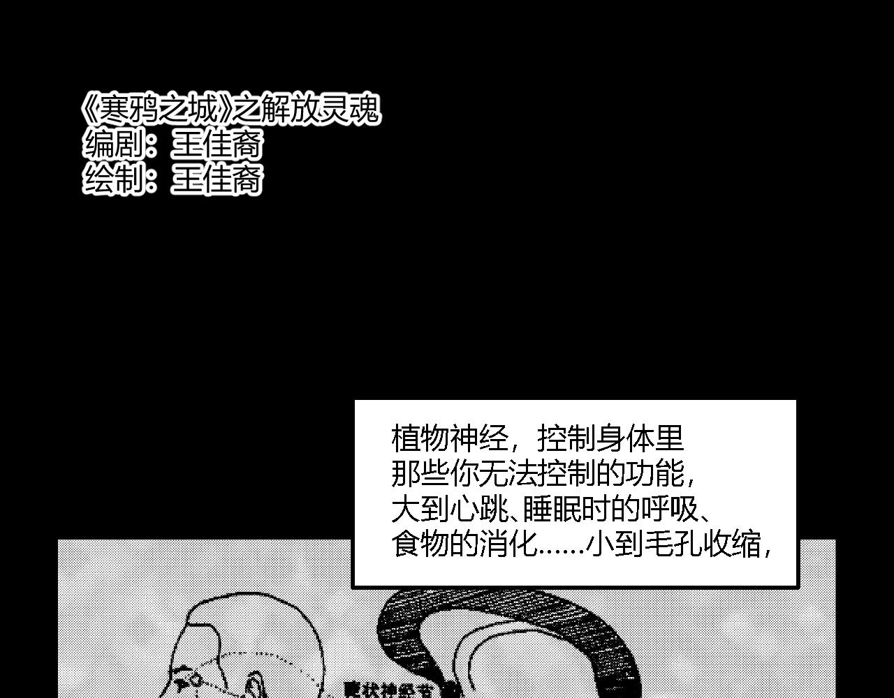 《寒鸦之城》创造灵魂02 第1页
