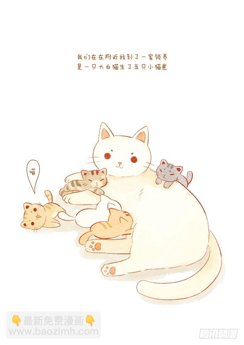 《执子之爪》第十一话-鱼小丸子1 第5页