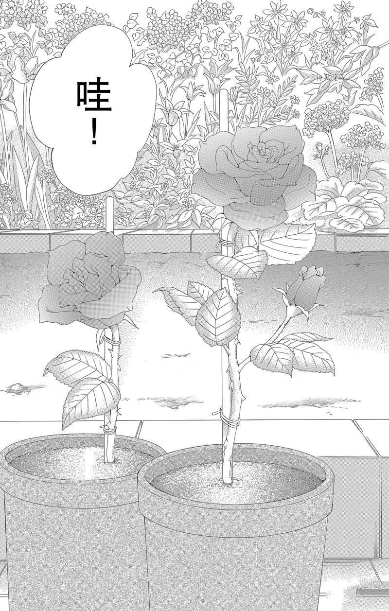 《蔷薇色的约定》第19话 第3页