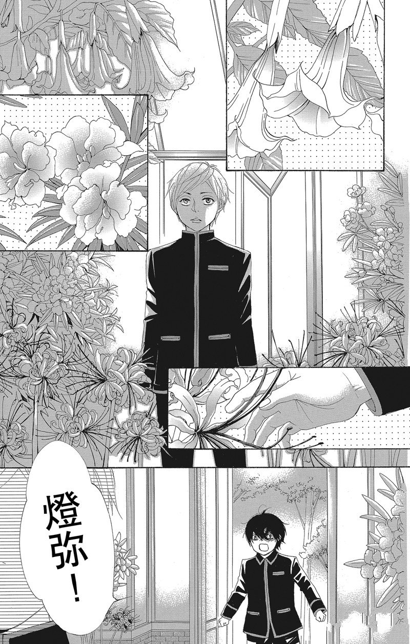 《蔷薇色的约定》第39话 第11页