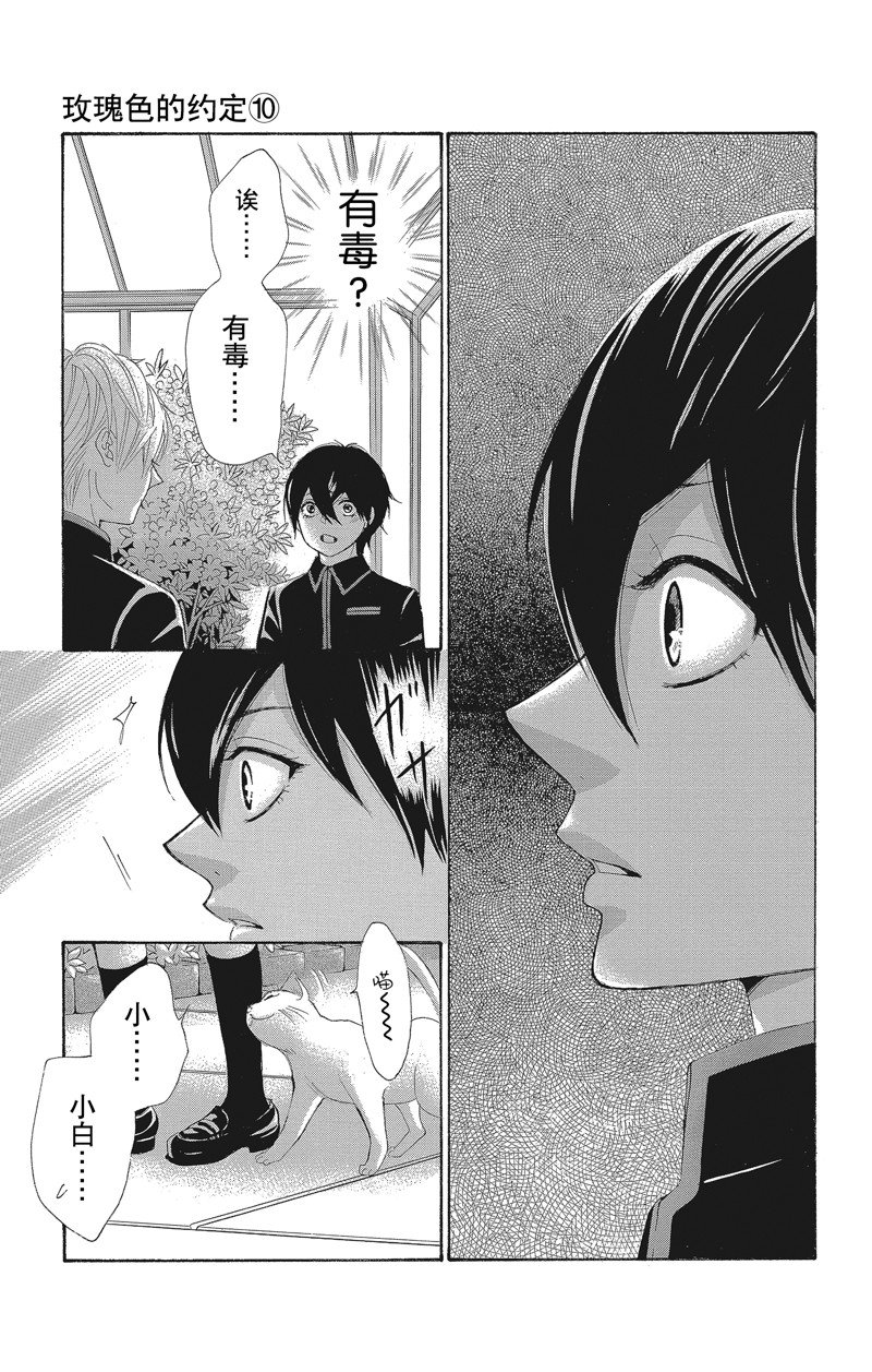 《蔷薇色的约定》第39话 第13页