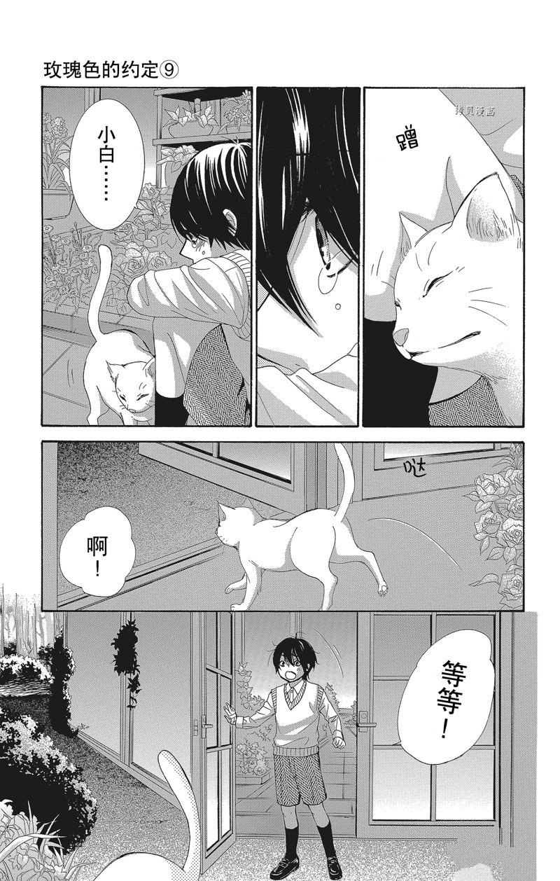 《蔷薇色的约定》第36话 第31页