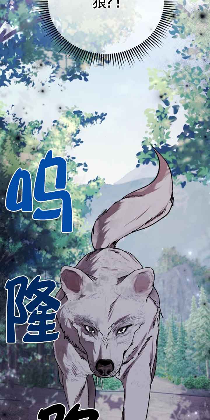 《那个恶女人生我来试试》第26话 第12页