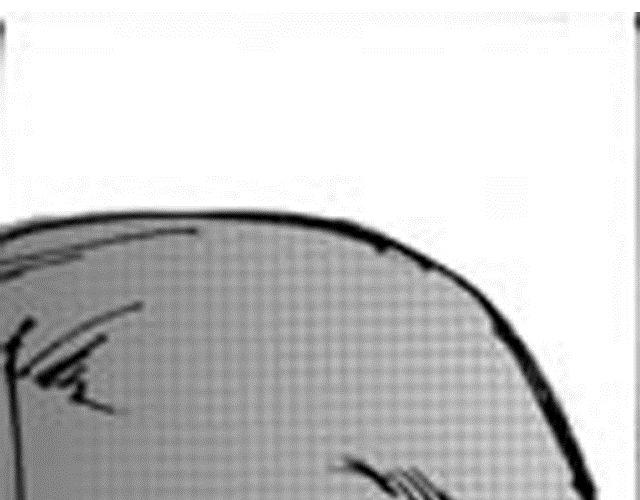 《大保镖》第11话 黑门坎 第36页