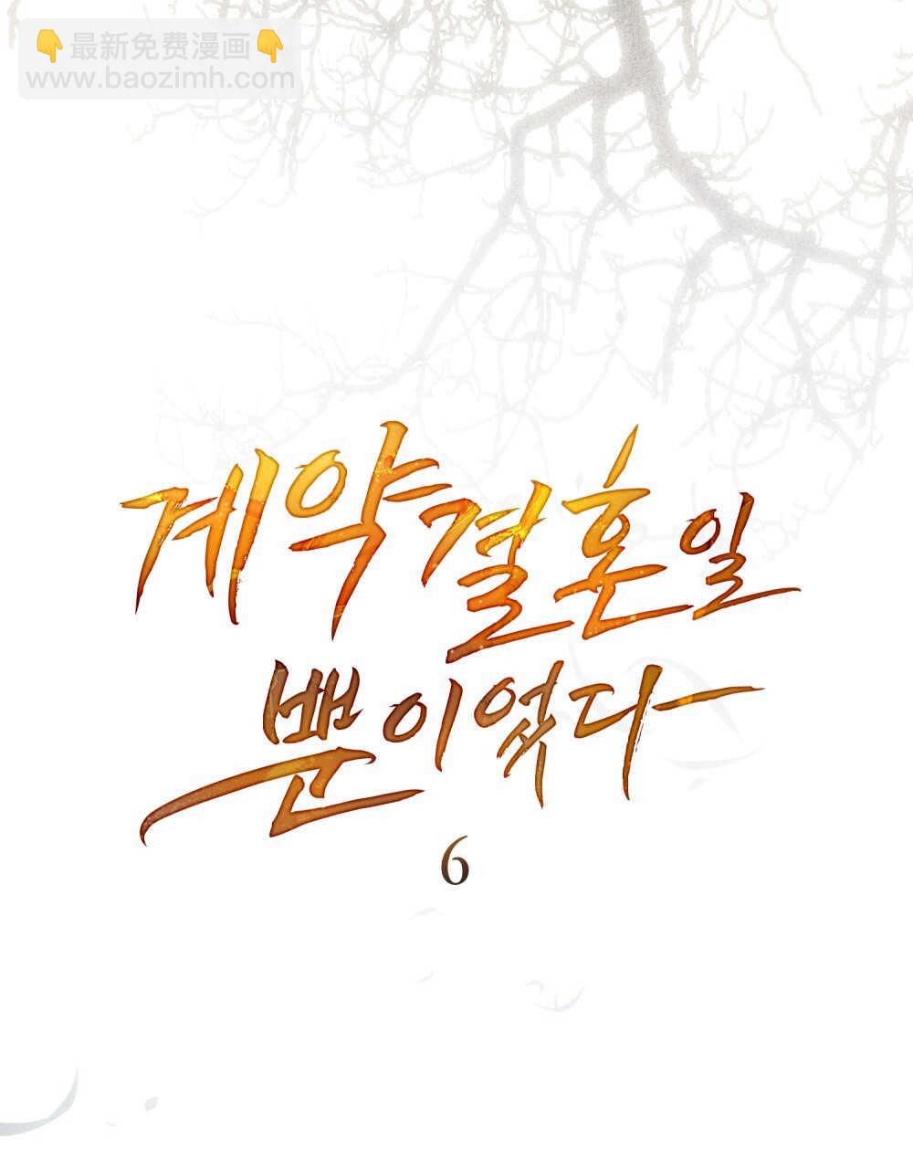 《只是契约婚姻而已》第06话 第10页