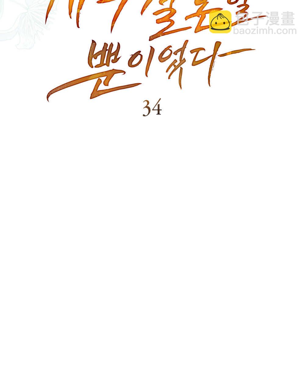 《只是契约婚姻而已》第34话 第33页