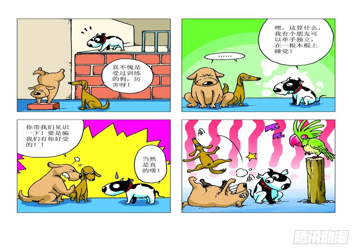 《家有宠物》11 第10页