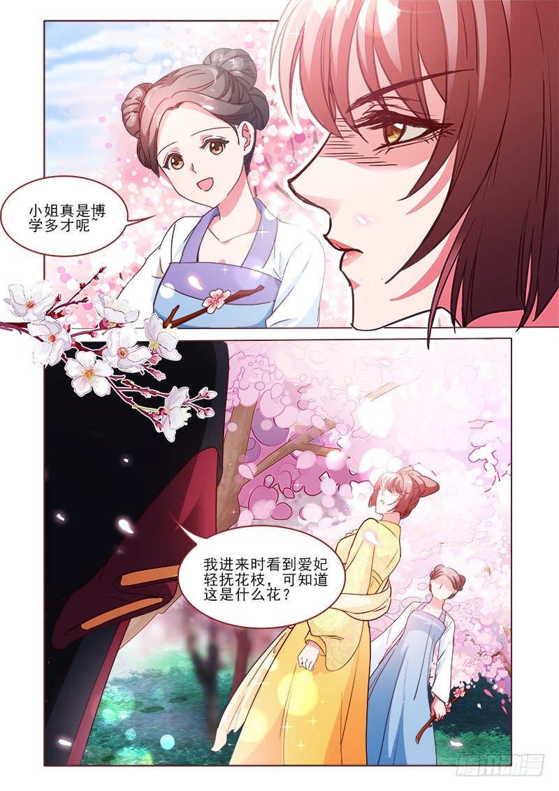《真假皇妃》30 第13页