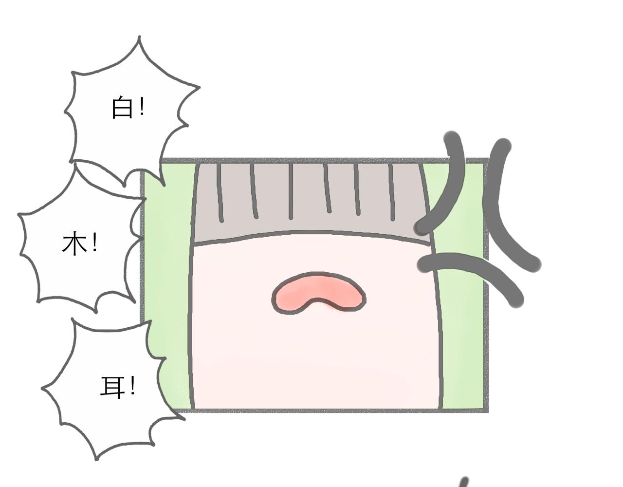 《阳生八宝旧记》第二话 欢迎新朋友入住！ 第14页