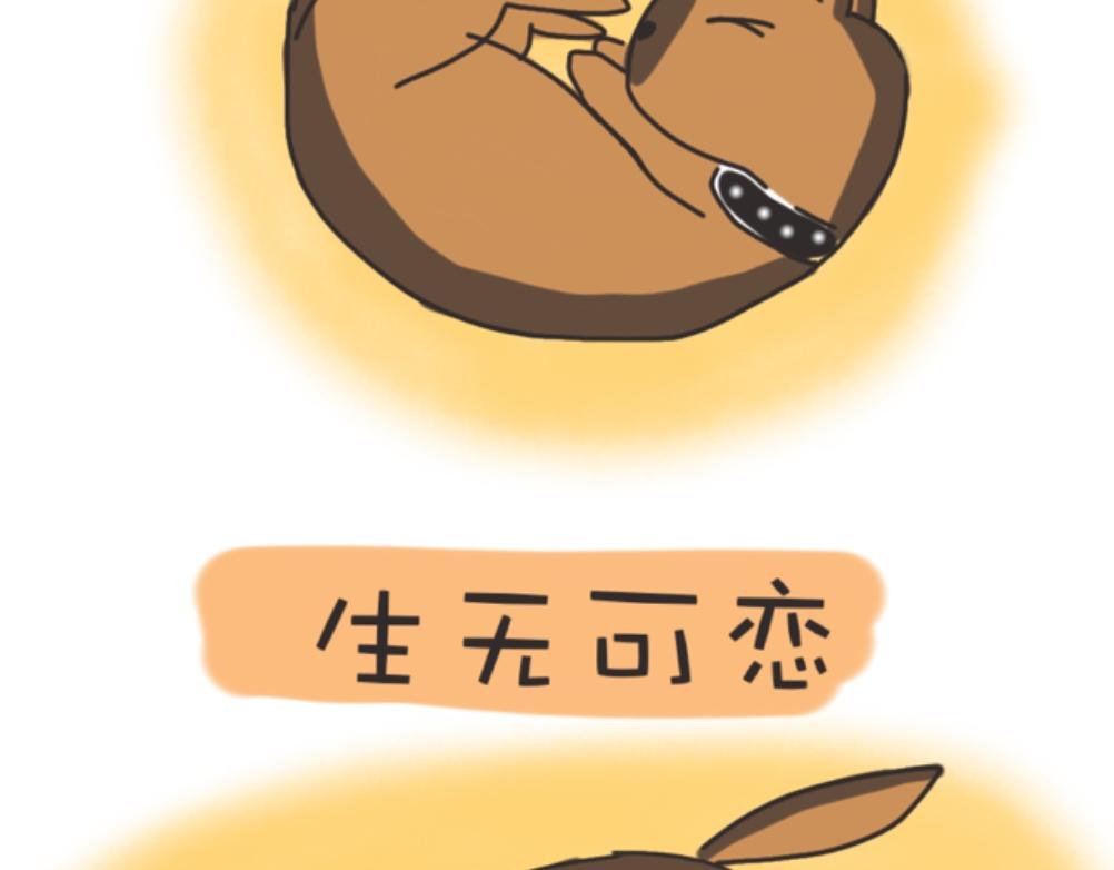 《团哥二三事》团哥二三事之出去玩 第18页