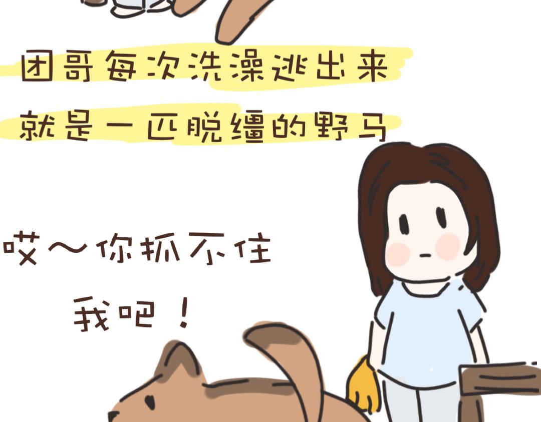 《团哥二三事》团哥二三事之洗澡篇 第10页