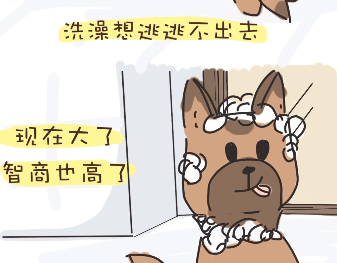 《团哥二三事》团哥二三事之洗澡篇 第5页