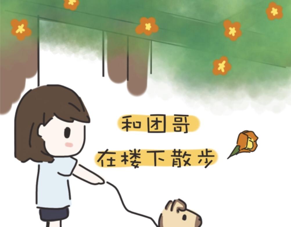《团哥二三事》团哥二三事之探索篇 第10页