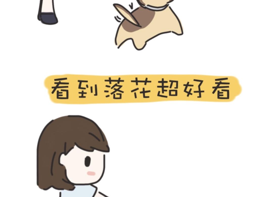 《团哥二三事》团哥二三事之探索篇 第11页