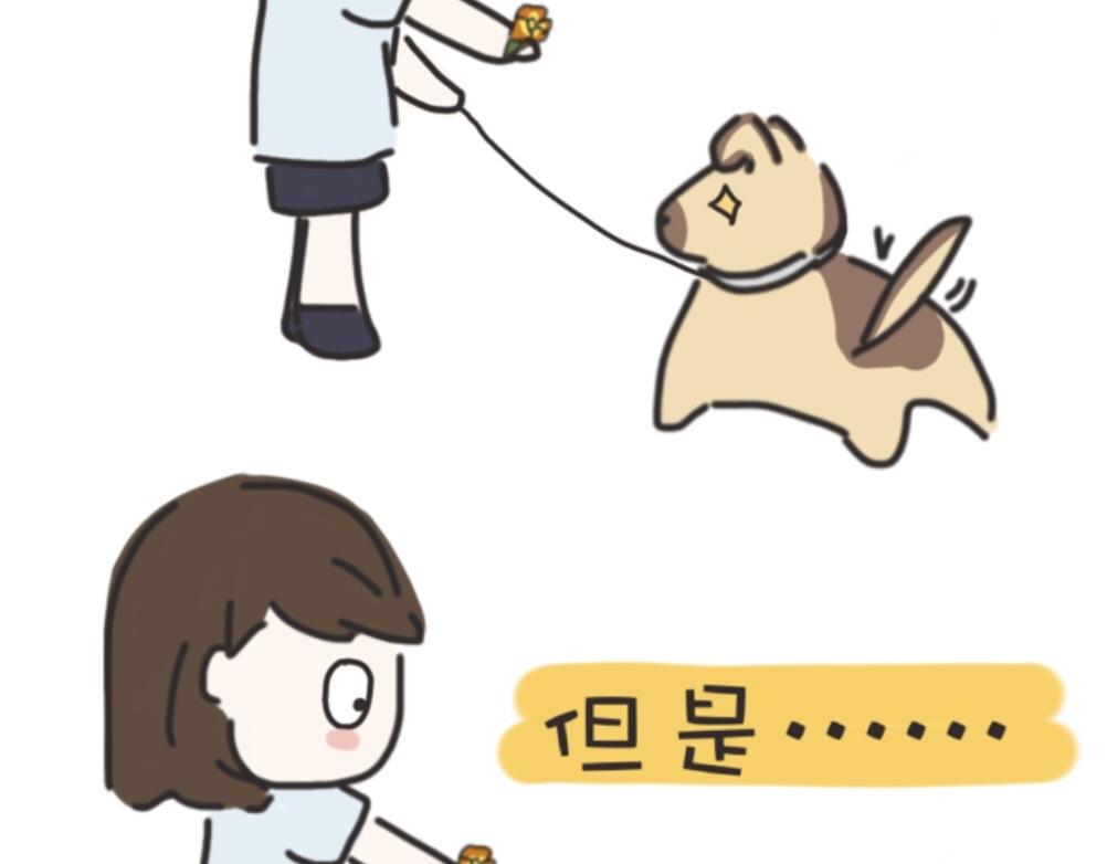 《团哥二三事》团哥二三事之探索篇 第12页