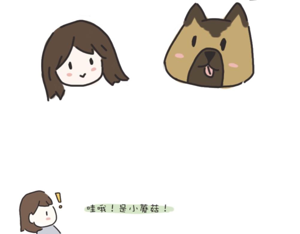 《团哥二三事》团哥二三事之探索篇 第16页
