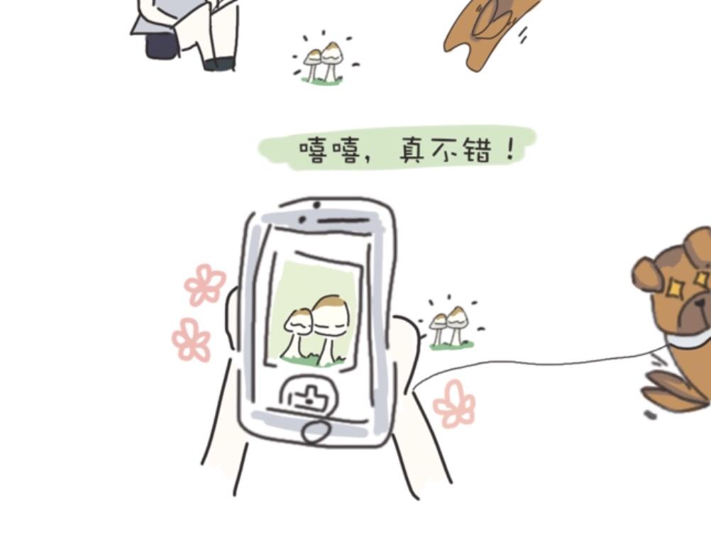 《团哥二三事》团哥二三事之探索篇 第18页