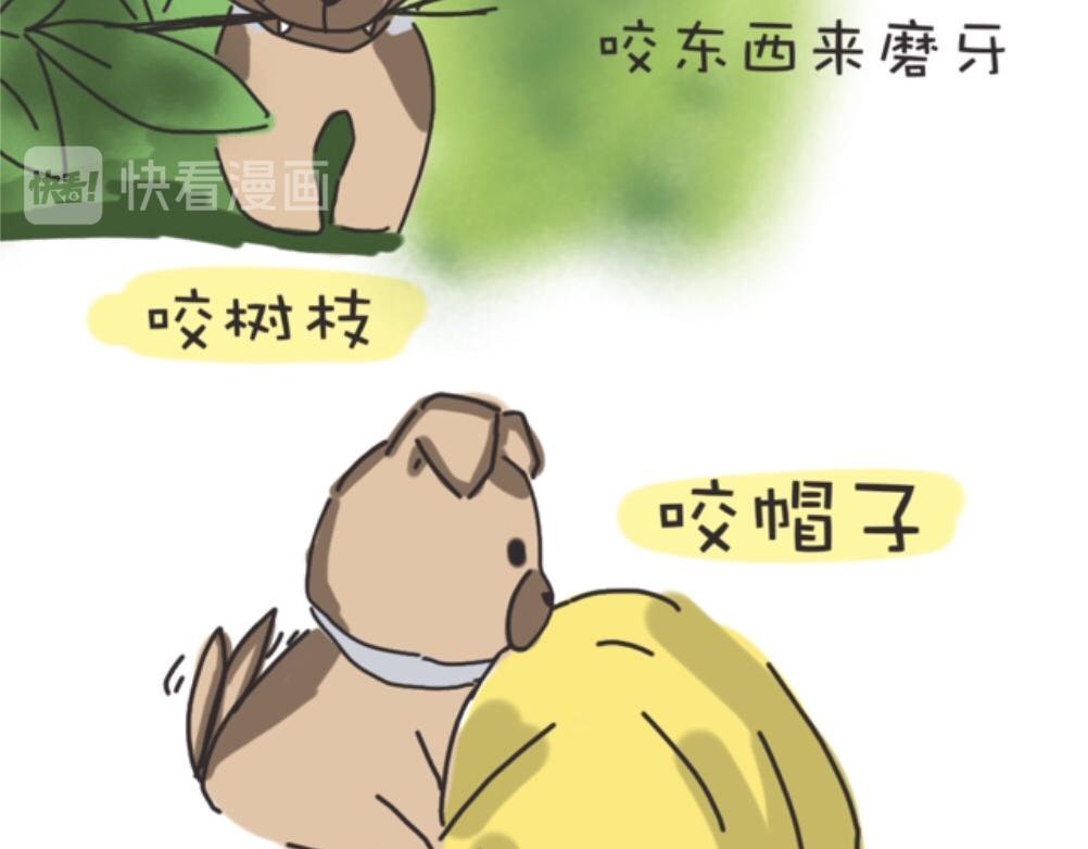 《团哥二三事》团哥二三事之探索篇 第3页