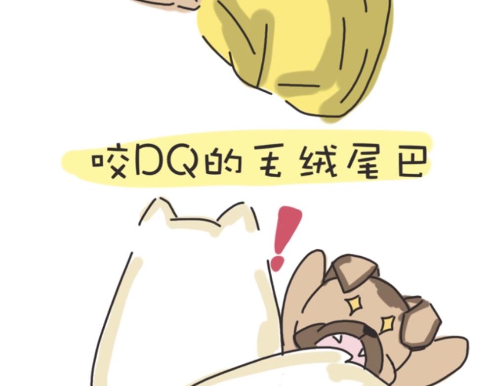 《团哥二三事》团哥二三事之探索篇 第4页