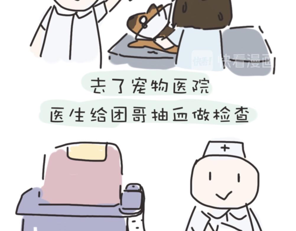 《团哥二三事》团哥二三事之生病篇 第10页