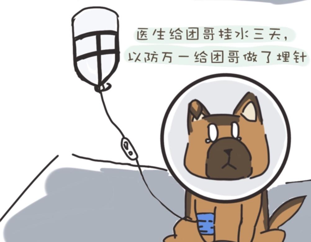 《团哥二三事》团哥二三事之生病篇 第12页