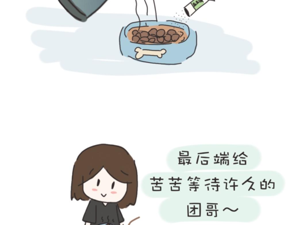 《团哥二三事》团哥二三事之生病篇 第19页