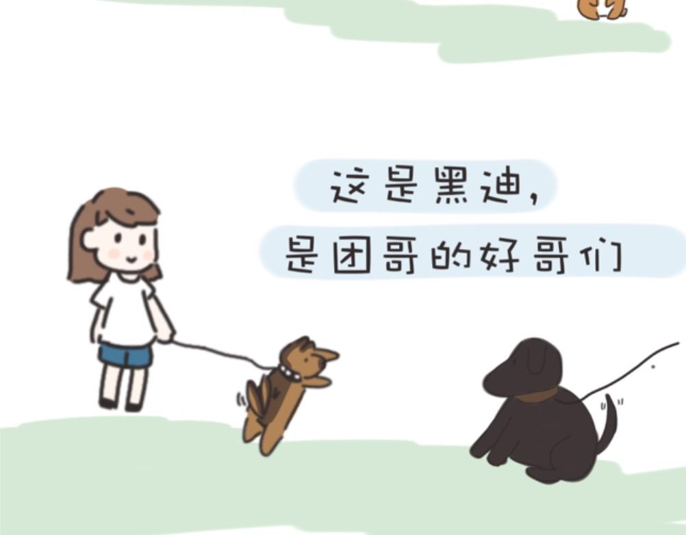 《团哥二三事》团哥二三事之生病篇 第26页