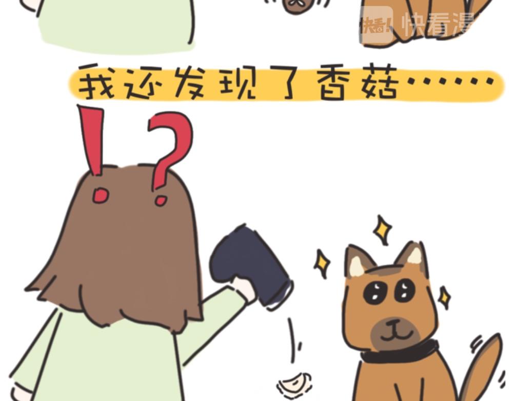 《团哥二三事》团哥二三事之生病篇 第34页