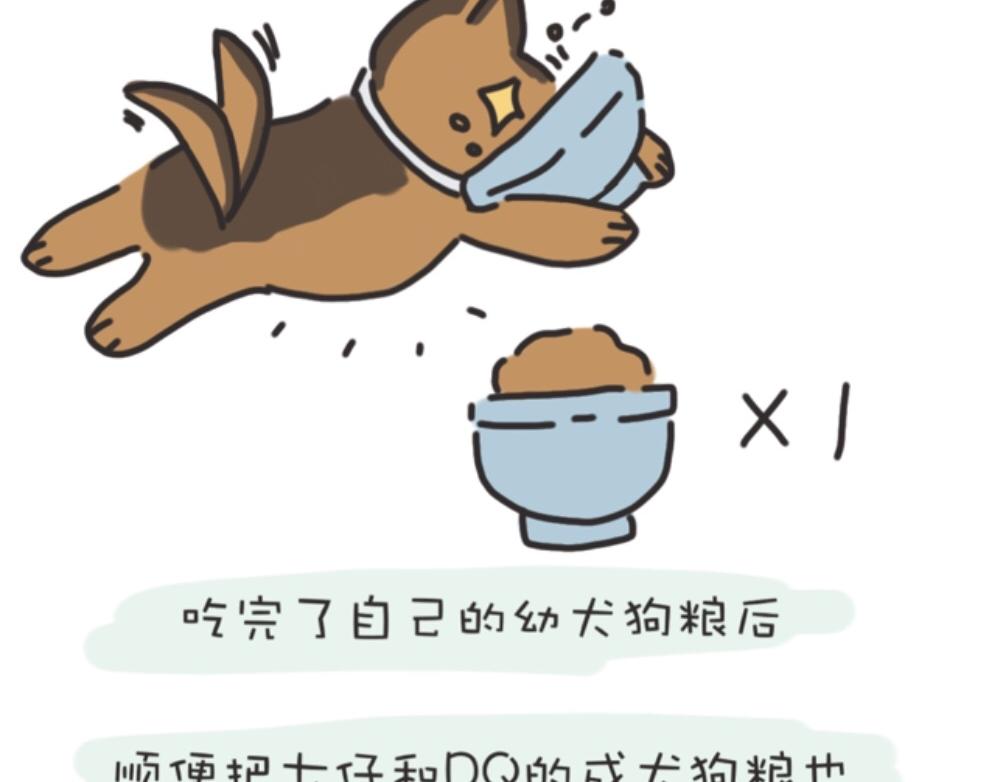 《团哥二三事》团哥二三事之生病篇 第3页