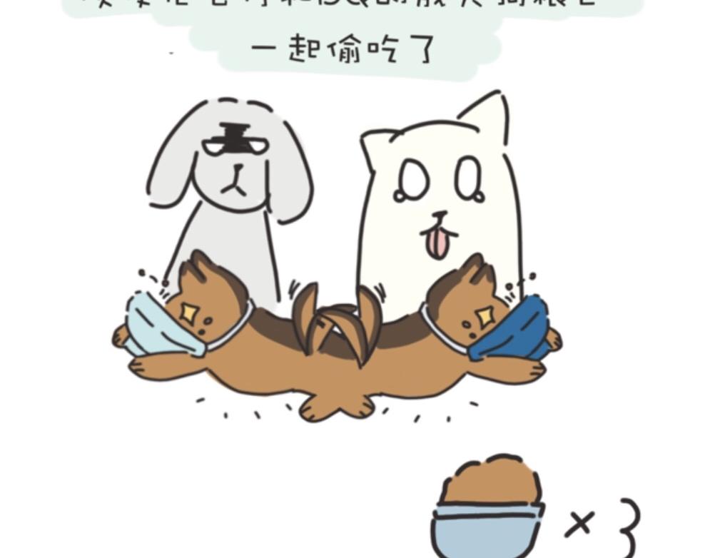 《团哥二三事》团哥二三事之生病篇 第4页